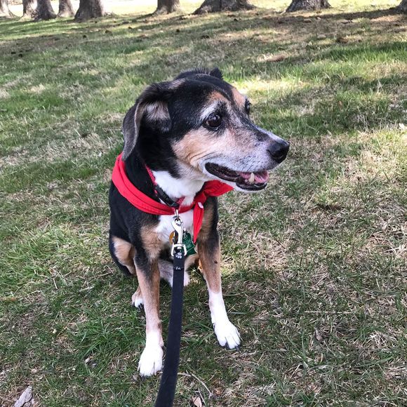 Meet your Posher, Barbara - Picture 1 of 1